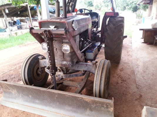 ขายแมคชี่185เตเมตัว