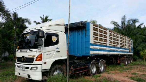 ขายรถหัวลาก HINO MEGA 320 แรงม้าปี 2550 พร้อมหางเทเลอร์ไม่ดัมพ์อู่พนัสนิคมคอกเกษตร 3 เพลา ยาว 12 เมตร สภาพ 90\% ราคา 2800000