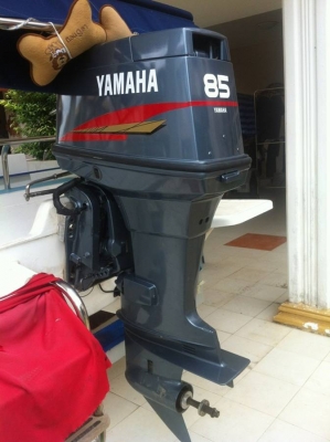 ลดราคา เรือใหม่ ไม่มีเวลาเล่น Smart Cat 15 ฟุต