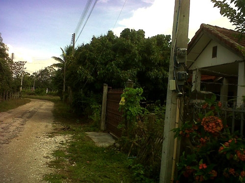 บ้านและที่ดิน ในหมู่บ้านสวยกิตติภูมิ นครเจดีย์ ป่าซาง ลำพูน