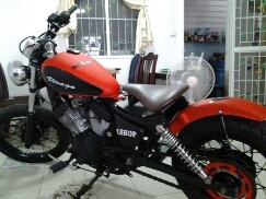 วีราโก้แต่งbobber