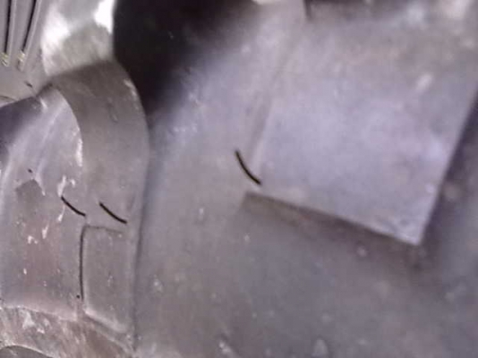 ขายยาง 35 ดอกเต็มยังไม่ลงดิน ถูกๆ