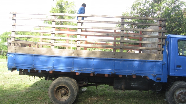 กระบะคอก  NPR 115 ยกลง