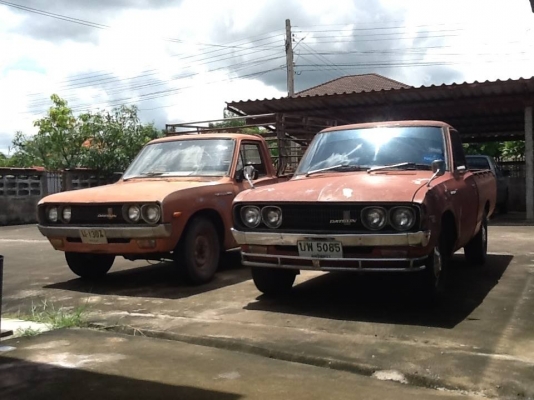 ช้างเหยียพร้อมทำมาหากินไดเลยนะ