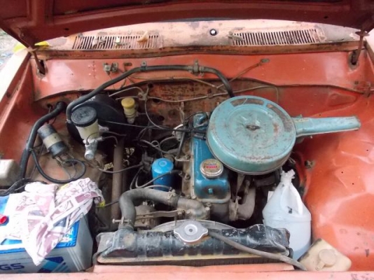 ช้างเหยียพร้อมทำมาหากินไดเลยนะ