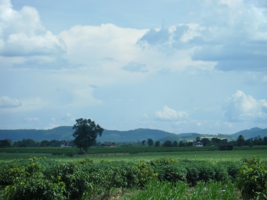 ขายที่ดินสวยปากช่อง