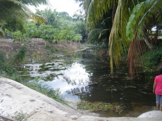 ขายที่ดินสวยปากช่อง