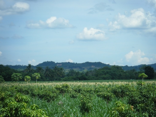 ขายที่ดินสวยปากช่อง