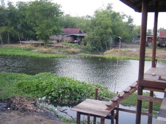 ขายที่ี่ดินติดเเม่น้ำ