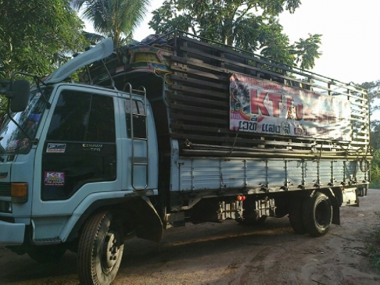 ขายร็อกกี้175 ยาว 6 เมตร