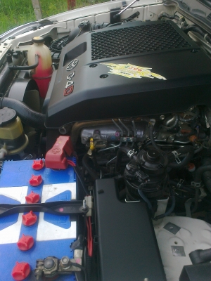 ฟอจุนเนอร์ ^^'' ทะเบียนประมูล