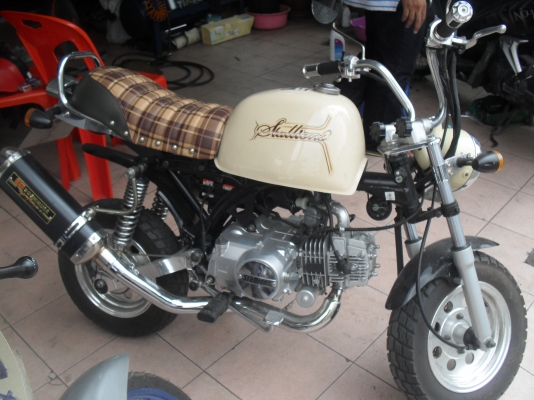 กอลิล่าแต่งนิดหน่อย ทะเบียนไม่่ขาด เอกสารพร้อมโอน กอลิล่าแต่งนิดหน่อย ทะเบียนไม่่ขาด เอกสารพร้อมโอน