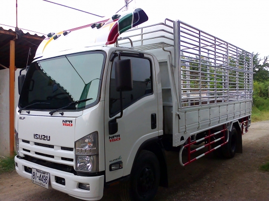 6 ล้อกลาง ISUZU  *Euro.3*  NPR 150 แรงม้า *คอมมอนเรว*  ยาว 5.00ม.  *  รถสวยเดิม+สวยจริง  * รถห้างแท้ *