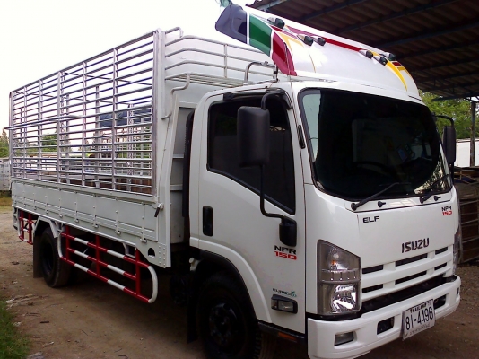 6 ล้อกลาง ISUZU  *Euro.3*  NPR 150 แรงม้า *คอมมอนเรว*  ยาว 5.00ม.  *  รถสวยเดิม+สวยจริง  * รถห้างแท้ *