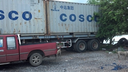 ขายหางพื้นเรียบ 2 เพลาของ PANUS ยาว 12.5 เมตร