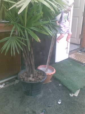 ขายด่วน ทรายบรรจุกระสอบ เพียง กระสอบละ 20บ ด่วน สินค้ามีจำกัด