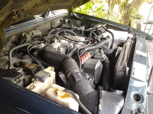 98 ford 4.0 explorer 98 ford 4.0 explorer