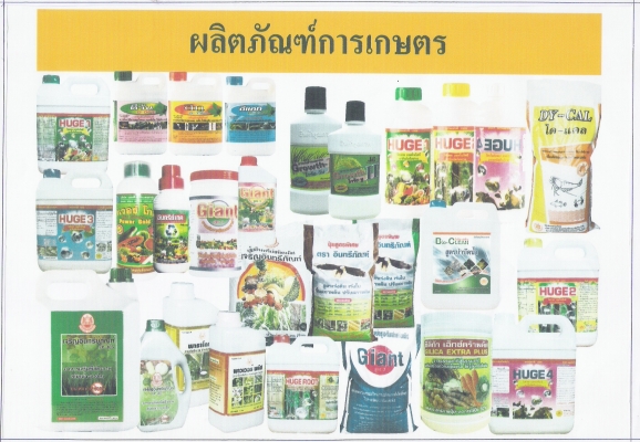 ธุรกิจทำง่าย