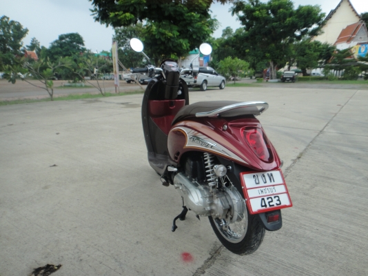 ขาย Honda scoopy i สวยๆ ธันวา 54 ขาย Honda scoopy i สวยๆ ธันวา 54