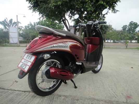 ขาย Honda scoopy i สวยๆ ธันวา 54 ขาย Honda scoopy i สวยๆ ธันวา 54