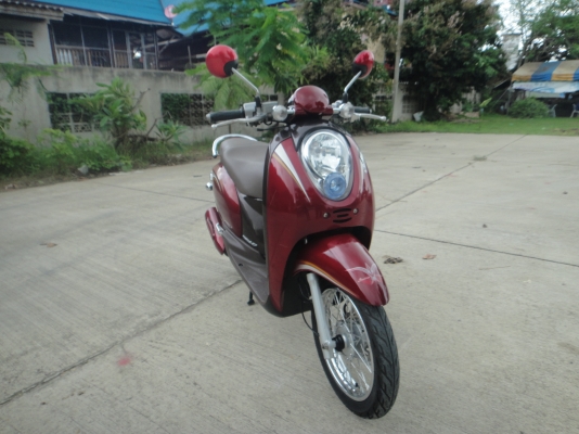 ขาย Honda scoopy i สวยๆ ธันวา 54 ขาย Honda scoopy i สวยๆ ธันวา 54