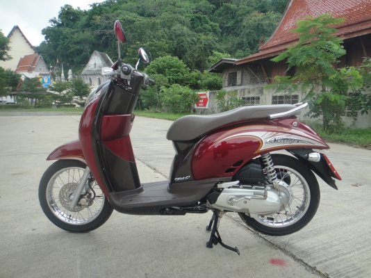 ขาย Honda scoopy i สวยๆ ธันวา 54 ขาย Honda scoopy i สวยๆ ธันวา 54