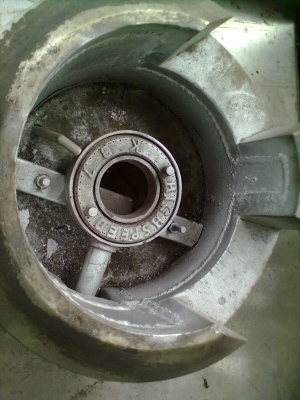 ขายเดาครัวจีนเกรดA อย่างหนา ขายเดาครัวจีนเกรดA อย่างหนา