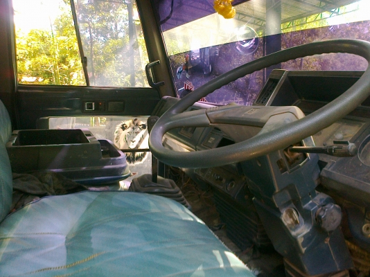 ISUZU ROCKY 175 HP 6BG1 หกล้อดั๊มพ์ ช่วงล่างใหญ่ยาง 8.25 ขอบ 16 เครื่องแห้งดีไม่มีเยิ้ม ภายในเก๋งอุปกรณ์ครบ แอร์ พวงมาลัยเพาเวอร์ เบรคทริ๊ปฟี้ กระบะดั๊มพ์เหล็ก 6 ตันยาว 3.60 เมตร เอกสารทะเบียนภาษีครบพร้อมโอน ราคาต่อรองได้ครับ