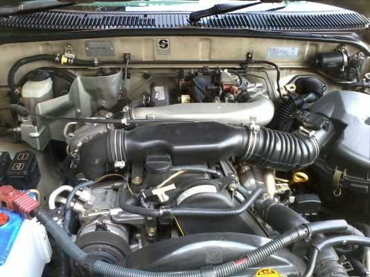 ขายด่วนไทเกอร์D4D คอมมอลเครื่อง2500ปี2002 255000 ขายด่วนไทเกอร์D4D คอมมอลเครื่อง2500ปี2002 255000