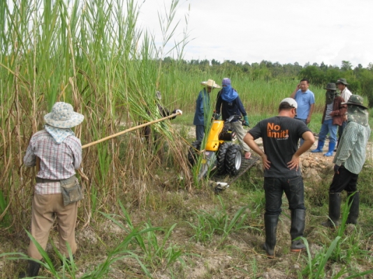 ขายรถตัดอ้อยชนิดเดินตาม ESM นำเข้าจากเยอรมัน ขายรถตัดอ้อยชนิดเดินตาม ESM นำเข้าจากเยอรมัน