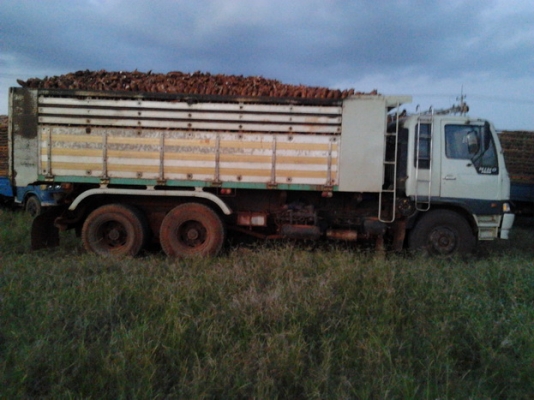 HINO FM 3M - 240 HP M10C สิบล้อดั๊มพ์ 2 เพลา มีระบบลากพ่วงให้ด้วยครับ กระบะดั๊มพ์มิเนียม 12 ตันสภาพสวย เครื่องแน่นดีไม่มีเยิ้ม ภายในสวย แอร์เย็น พวงมาลัยเพาเวอร์ เบรคทริ๊ปฟี้ครบครัน ช่วงล่างคัชซีไม่มีบวม ยางสภาพดี 70\% พร้อมใช้งาน เอกสารทะเบียนภาษีครบไม่ขา HINO FM 3M - 240 HP M10C สิบล้อดั๊มพ์ 2 เพลา มีระบบลากพ่วงให้ด้วยครับ กระบะดั๊มพ์มิเนียม 12 ตันสภาพสวย เครื่องแน่นดีไม่มีเยิ้ม ภายในสวย แอร์เย็น พวงมาลัยเพาเวอร์ เบรคทริ๊ปฟี้ครบครัน ช่วงล่างคัชซีไม่มีบวม ยางสภาพดี 70\% พร้อมใช้งาน เอกสารทะเบียนภาษีครบไม่ขา