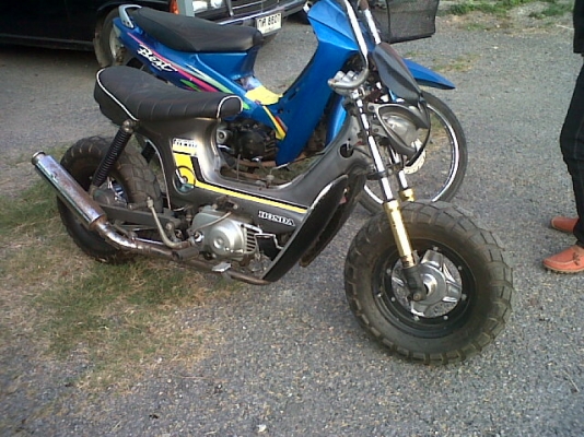 ขายชาลีล้อโต สวยๆ