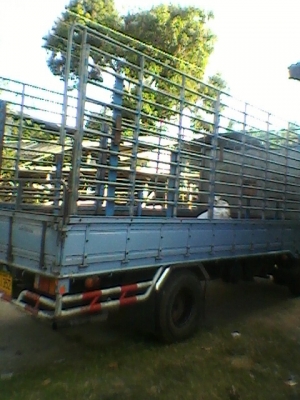 -ขาย   NPR120  ห้างแท้สวยจัดมากถูกๆ