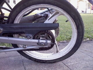 ขาย Leo starครับ 7000 บาท ขาย Leo starครับ 7000 บาท