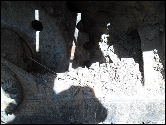 แทรกเตอร์ D5B สภาพสวยๆ พร้อมใช้งาน ราคาจิ๊บๆ