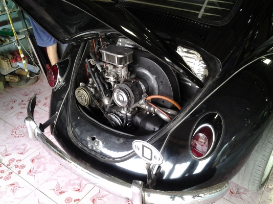 รถยนต์ Volkswagen (เต่า)