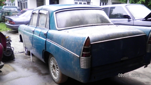 ขอขายออสตินหางปลา ขอขายออสตินหางปลา