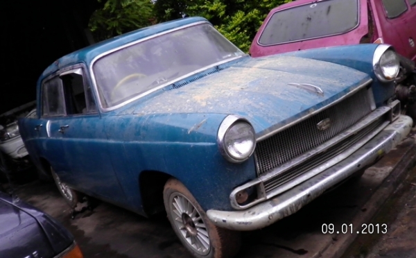 ขอขายออสตินหางปลา ขอขายออสตินหางปลา