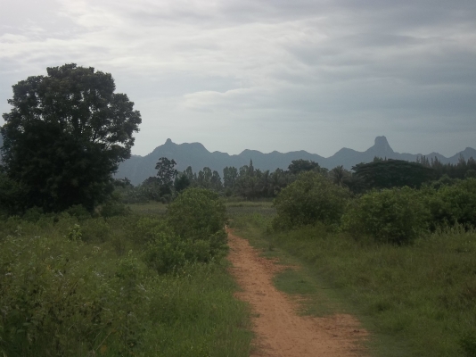 ที่ดินจังหวัดประจวบคีรีขันธ์ 4 ไร่ 3 งาน หกส่วนสิบตารางวา