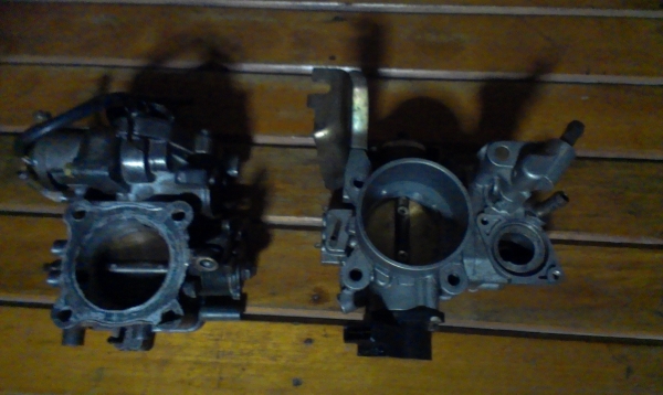 ขายปีกผีเสื้อ 4g6* สองตัว