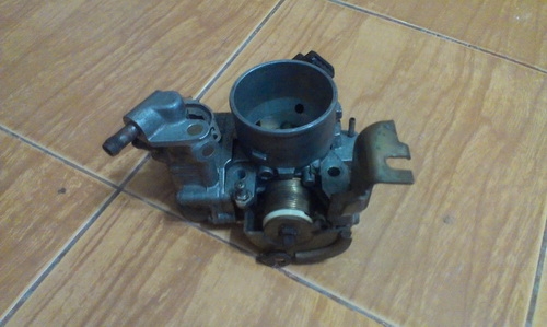 ขายปีกผีเสื้อ 4g6* สองตัว