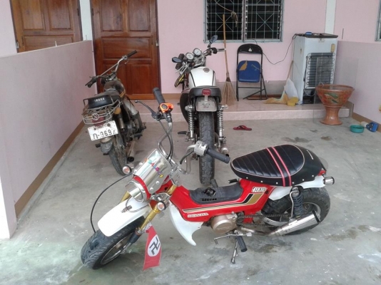 -ขาย ชาลี สภาพสวย รถประกอบใหม่