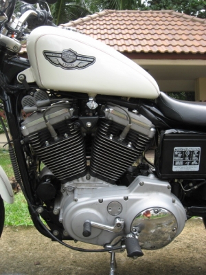 ขาย Harley-Dayvidson sporster1200 รุ่นฉลอง 100 ปี 2003 เสียสรรพสามิตแล้ว