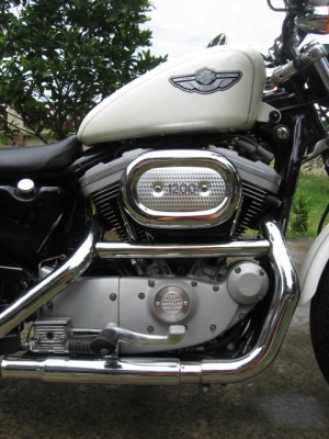 ขาย Harley-Dayvidson sporster1200 รุ่นฉลอง 100 ปี 2003 เสียสรรพสามิตแล้ว