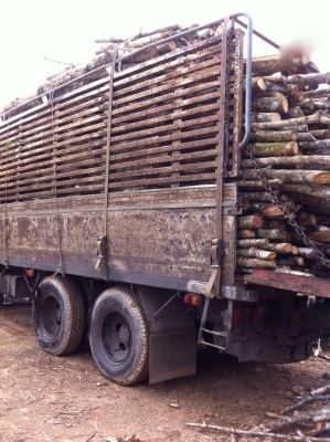 รถฮีโน่ 10 ล้อ รั่ว F17  เปลื่ยนเครื่อง  187 แรงม้า  สนใจติดต่อ 081 - 6079515