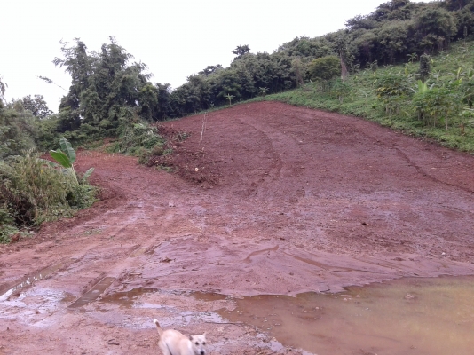 ขายที่ดินหรือแลกกับรถหกล้อ