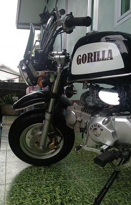 ขายกอลิล่า 125cc ทะเบียนพร้อมโอน