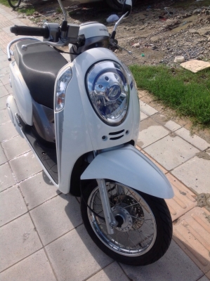 Honda Scoopy i