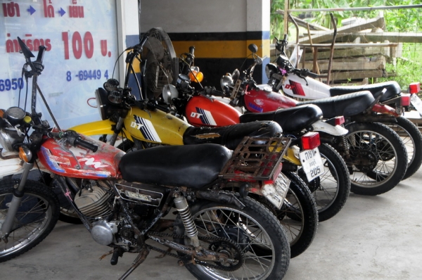 dt100 / 8000บาท dt100 / 8000บาท