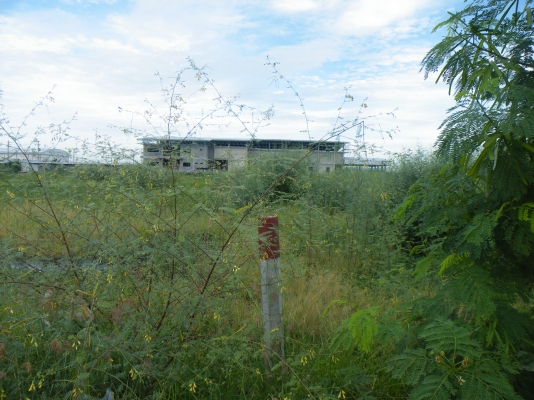 ขายที่ 3ไร่ 2งาน 54ตรว ขายที่ 3ไร่ 2งาน 54ตรว